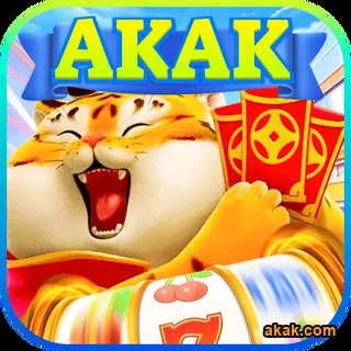 Aproveite serviços VIP exclusivos e atendimento completo - akak.com